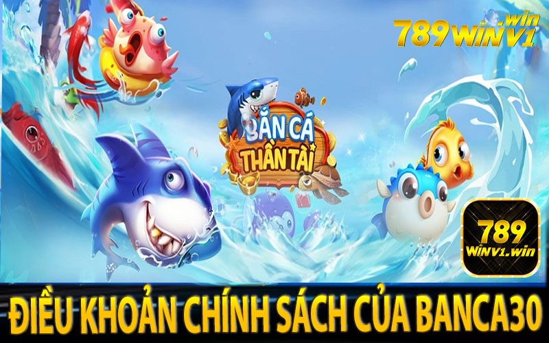 Điều khoản chính sách của Banca30