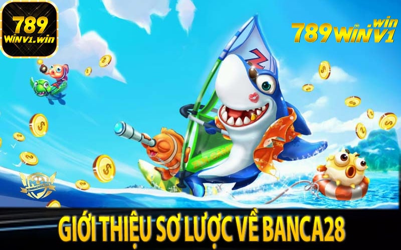 Giới thiệu sơ lược về Banca28