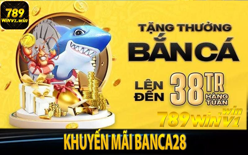 Khuyến mãi Banca28